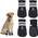 Hundeschuhe von REESTBOO