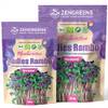 Bio Radieschen Sprossen Samen von ZenGreens