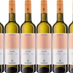 Bacchus-Wein