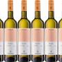 Bacchus-Wein