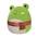 Wendy der Frosch von Squishmallows
