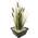 Typha Latifolia von S Vd Velde