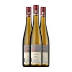 Bacchus-Wein