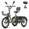 E-Bike Dreirad