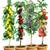 Baldur Garten Obstbaum-Kollektion