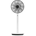 Balmuda The GreenFan