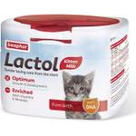 Katzenmilch