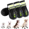 Hundeschuhe von Becrowm
