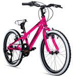 Mountainbike 20 Zoll