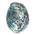 Abalone-Muschel von Besportble