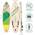 Hydro-Force-SUP Kahawai von Bestway