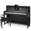 UP-1 SM von Classic Cantabile