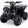 Quad