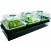 HOL 3 von Bio Green