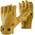 Transition Gloves von Black Diamond