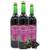 Bleichhof Schwarzer Johannisbeersaft