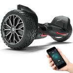 Hoverboard Gelände