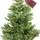 Weihnachtsbaum