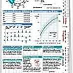 EKG-Lineal