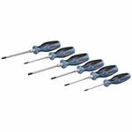 Torx-Schraubendreher-Set
