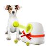 Ballwurfmaschine Ifetch Mini von BOT