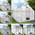 8004123004 von Brast