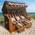 Usedom von Brast