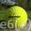 e6 Lakeballs von Bridgestone