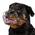 Hundemaulkorb von Bronzedog