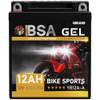 YB12A-A GEL von BSA