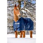 Bucas Freedom Turnout Pony