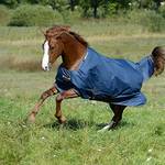 Regendecke Pferd