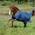 Irish Turnout Klassisch von Bucas