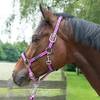 Stallhalfter von Calevo