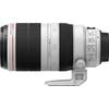EF 100-400 mm 1:4.5-5.6L IS II USM von Canon