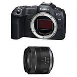 Canon EOS R8 + RF 24–50mm