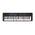 LK-S450 von Casio