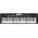 LK-S250  von Casio
