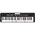 Casio LK-S250