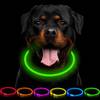 Leuchthalsband Hund von CCWW