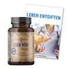 Leber Vital von CDF Sports & Health Solutions