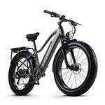 Elektro Mountainbike