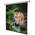 Motor Economy (1090063) von celexon