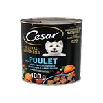 Cesar 426499
