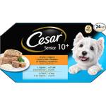 Cesar 358264