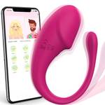 Chiclsq Vibrationseier