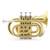 Classic Cantabile TT-500