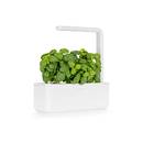 Smart Garden 3 von Click and Grow