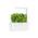 Smart Garden 3 von Click and Grow