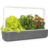 Click & Grow 4742793008899 Smart Garden 9